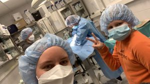 eläinlääkäri lähellä Kajaania eläinlääkäri lähellä minua eläinlääkäriasema Kajaani pieneläinlääkäri Kajaani eläinlääkäriaika Kajaani eläinlääkärin ajanvaraus Kajaani