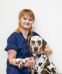 Pentuetarkastus, terveystarkastus, koiran rokotus, koiran rokotukset Kajaani, kissakirurgia Kajaani, hammashoito lemmikeille