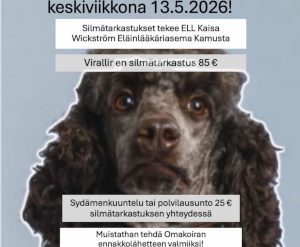 Osarahoitteista EU-investointitukea